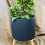 Hugo Smooth Μαύρο Με Πόδι