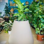 Κασπώ-Γλάστρα Volcano