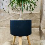 Hugo Smooth Μαύρο Με Πόδι