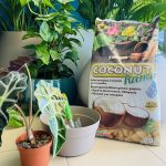 Φυτόχωμα με ίνες καρύδας (Cocopeat)