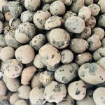 Διογκωμένη Άργιλος 2lt