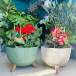 Κασπώ-Γλάστρα σειρά Polypro