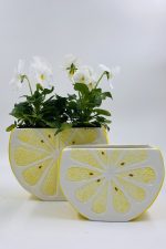 Κασπώ-Βάζο Σειρά Rieti - Image 5