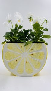 Κασπώ-Βάζο Σειρά Rieti - Image 4