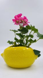 Κασπώ-Βάζο Σειρά Rieti - Image 3